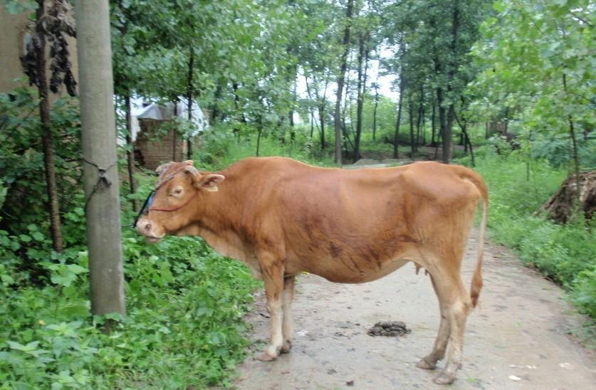 黔西最新求一个套医保卡的黄牛是真的吗方法分析(最方便真实的黔西求一个套医保卡的黄牛是真的吗还是假的方法)